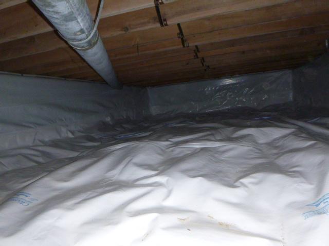 Complete Crawlspace