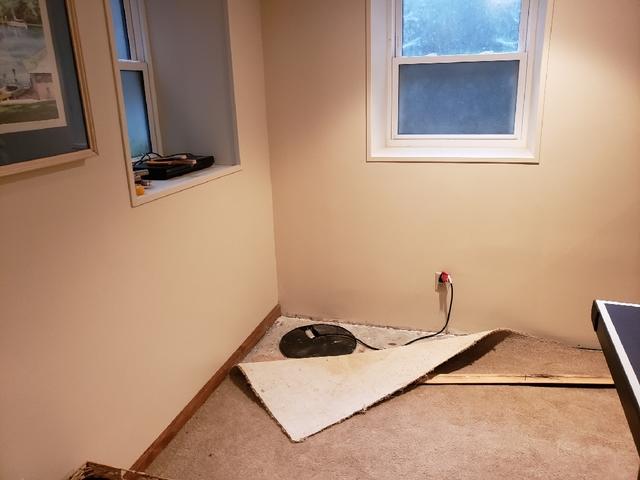 Before Waterproofing