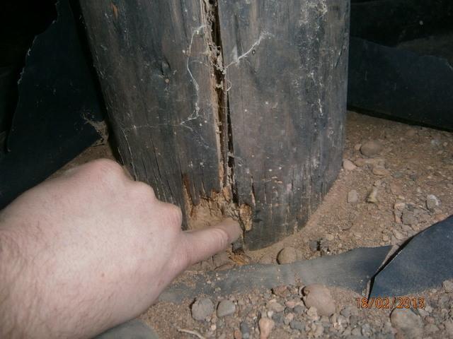 The rotting posts that were helping hold the foundation