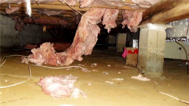 Wet Crawl Space