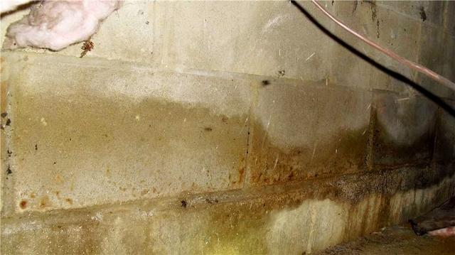 Wet Crawl Space Walls