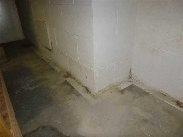 Before Waterproofing