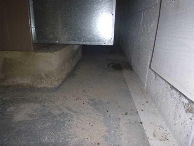 Before Waterproofing