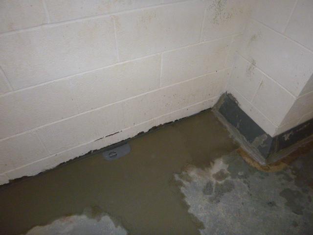 Waterproofing Solution