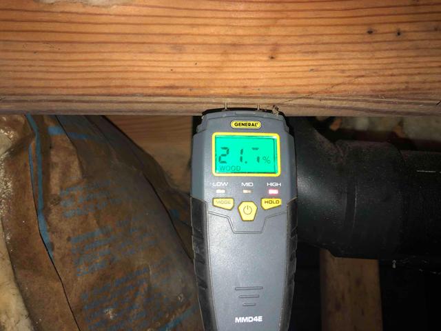 Wood Moisture Levels