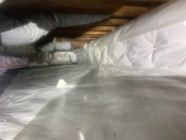 Insulating the Walls