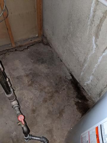 This photo was taken before the basement was waterproofed.