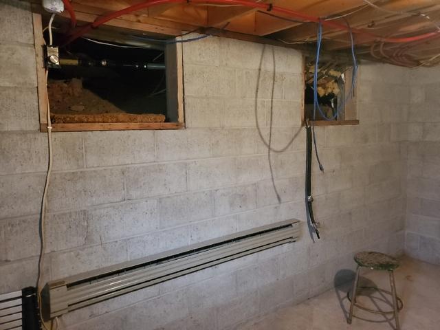 Crawl Space Access from Basement