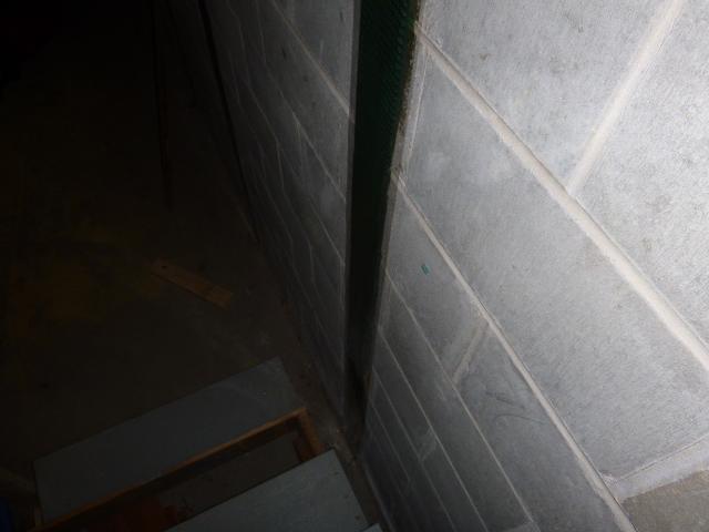 Fortress Carbon Fiber Straps