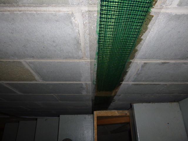 Fortress Carbon Fiber Straps