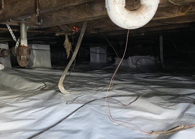 Keep Pest Out of the Crawl Space