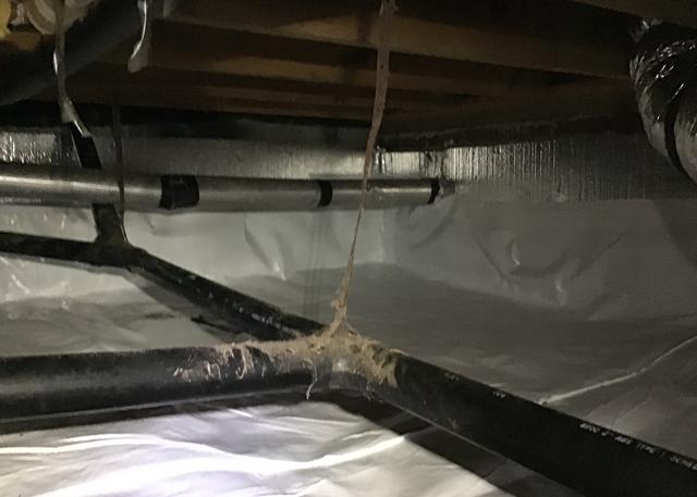 Reduce Moisture and Humidity.