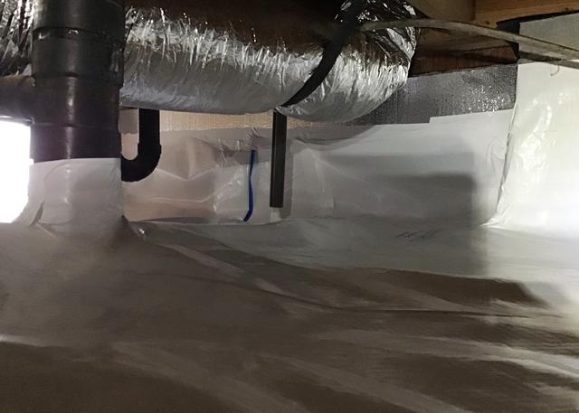 No More Mold and Mildew