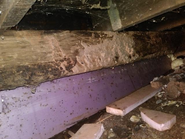Moist Crawl Space in Two Harbors, MN