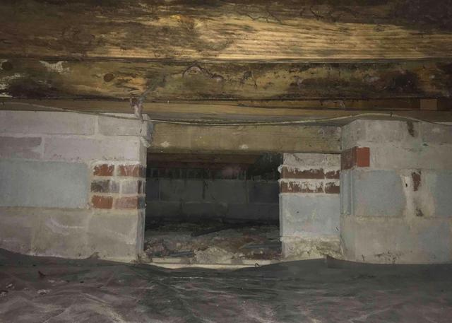 Protecting the Wood of the Crawl Space