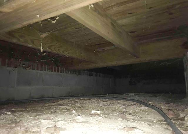 Bare Crawl Space Floor