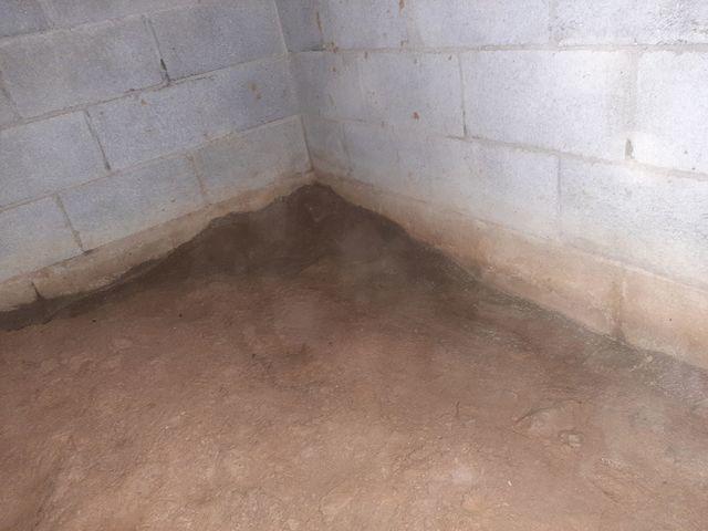 Damp Crawl Space