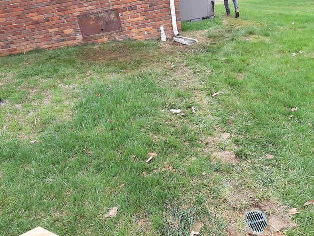 LawnScape Outlet and Iceguard