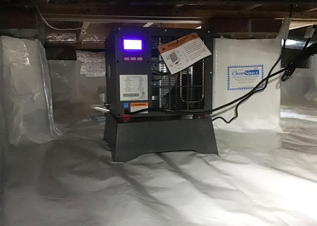 Sedona Dehumidifier