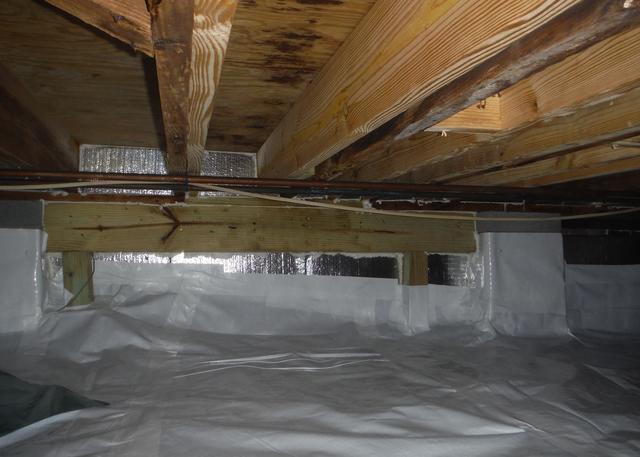 Keeping Bugs and Critters Out of the Crawl Space