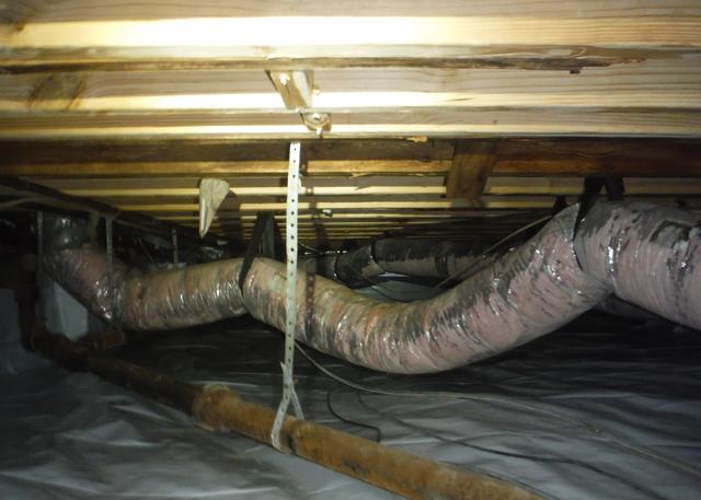 No More Mold