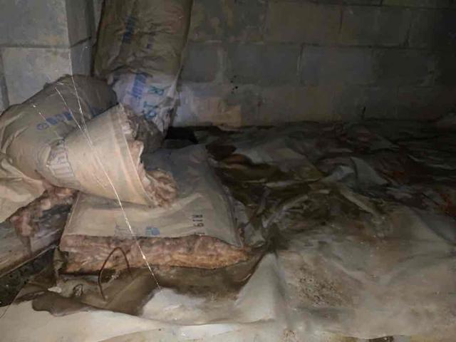 Multiple Crawl Space Issues