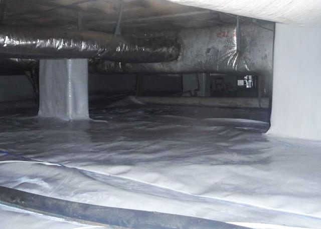 Protecting the Crawl Space from Bugs and Critters