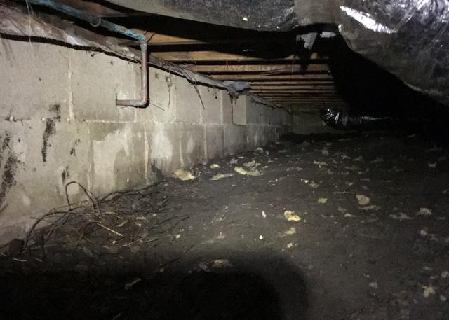 Moisture in the Dirt Floor