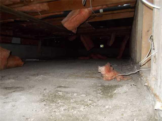 Damp Musty Crawlspace Tsawwassen BC