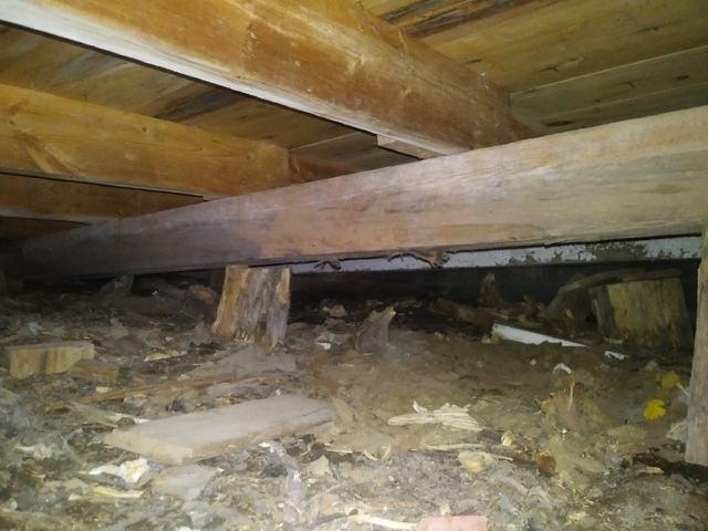 Partially Supported Crawl Space