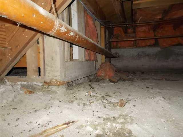 Damp Musty Crawlspace