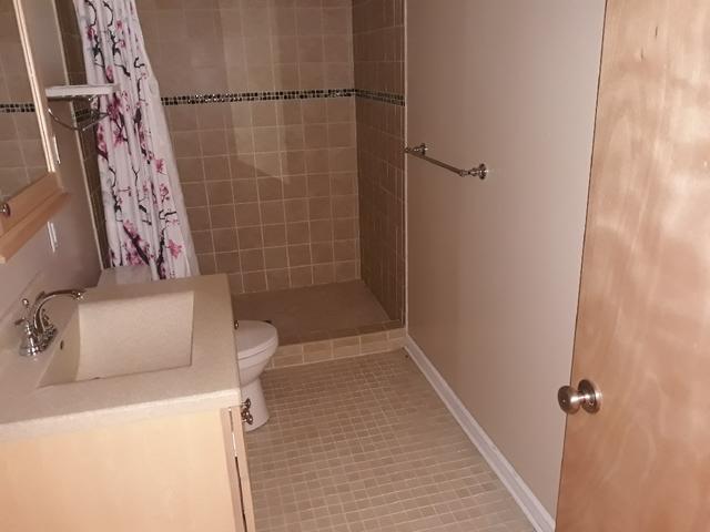 Leaky Bathroom - Before Photo