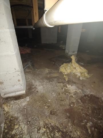 Soil Washout
