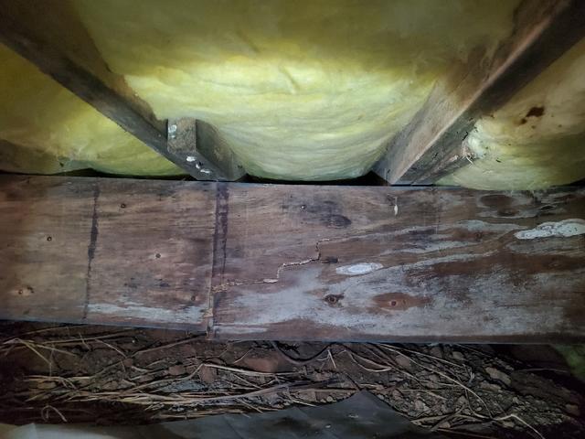 Water Stains in Cabin Support Beams