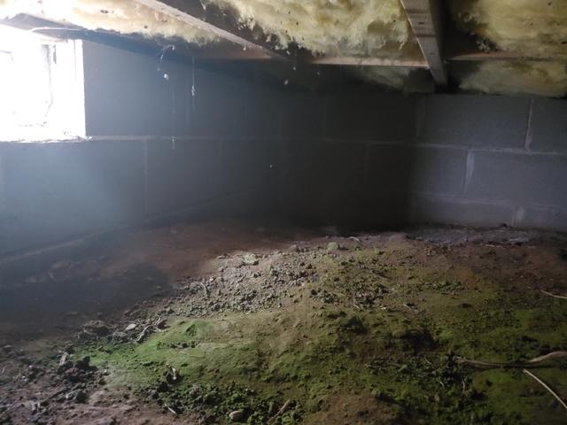 Block Foundation and Crawl Space in Sandstone, MN