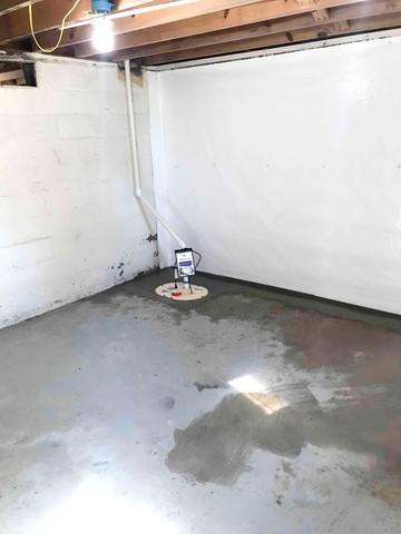 TripleSafe Sump Pump