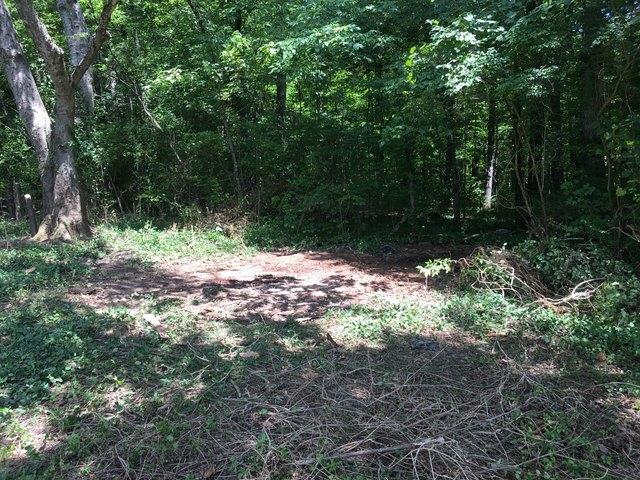 There's no sign there was ever a shed in this spot