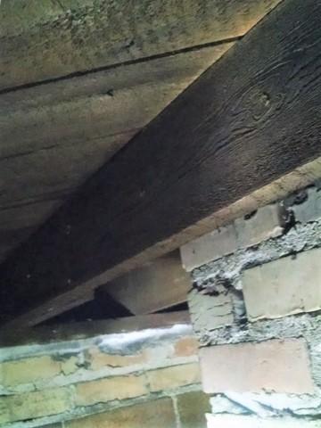 Close-up of Crawl Space Support