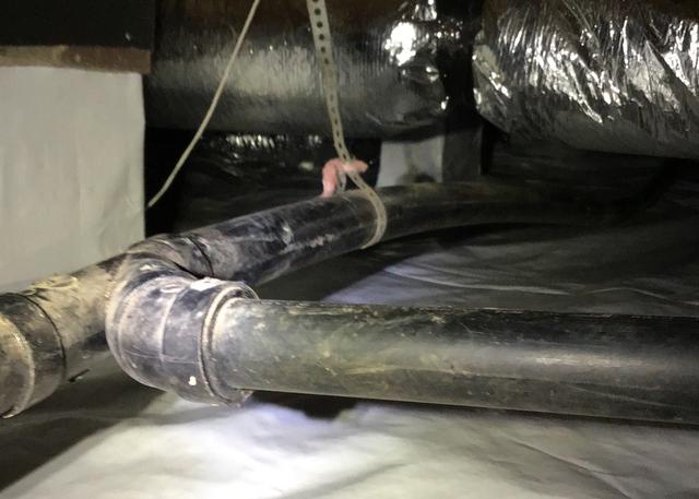 Keeping Critter and Bugs out of the Crawl Space