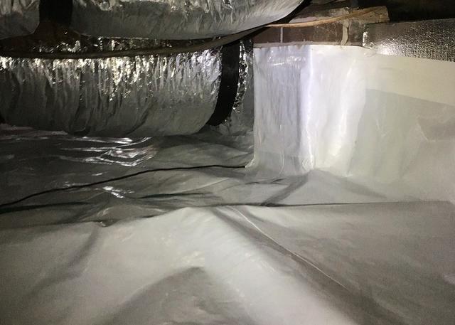 The CleanSpace Encapsulation System keeps bugs and critters out of the crawl space by taking away the moist environment that they thrive in.