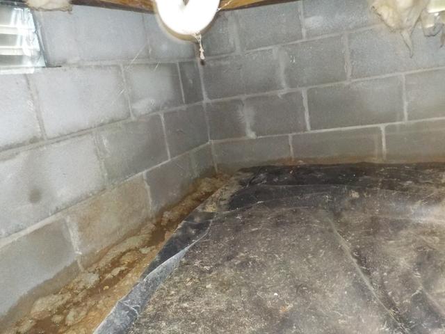 This crawl space was having major moisture issues and the house had a musty smell. The homeowners were concerned and reached out to Frontier for a lasting solution.