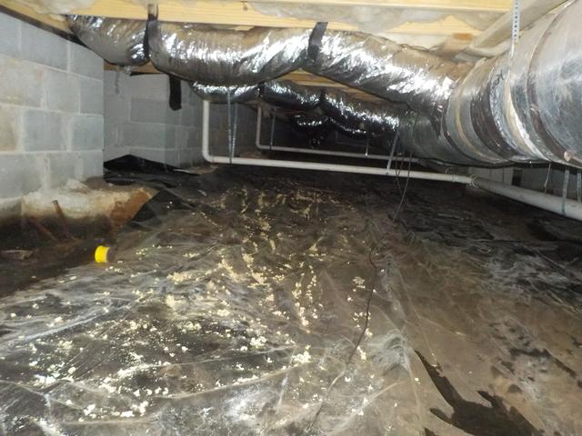 The moisture in the crawl space was so high that the wood was beginning to rot and pieces were falling from the floor boards.