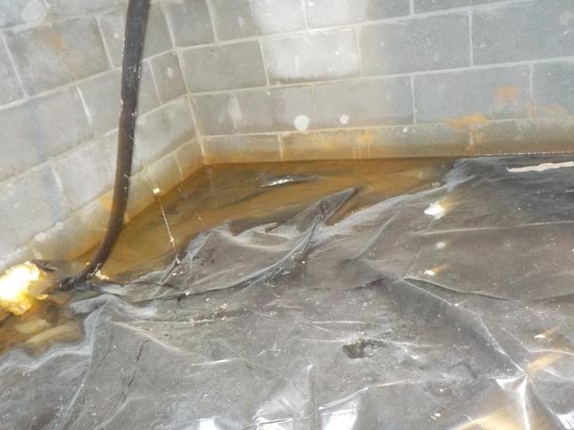 This crawl space had so much water!  Imagine the smell!