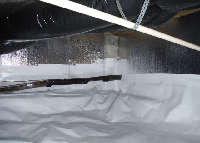 When our crew installs the CleanSpace Encapsulation System they remove the debris out of the crawl space making the area as level as possible for an attractive crawl space.