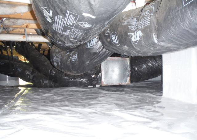 The CleanSpace Encapsulation System keeps bugs and critters out of the crawl space of the home.