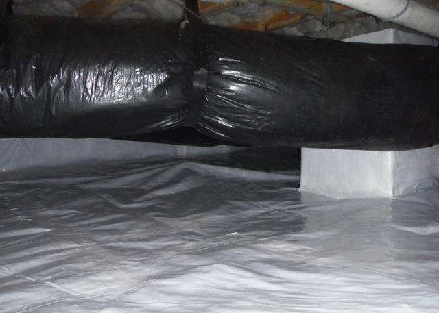 The CleanSpace Encapsulation System keeps bugs and critters out of the crawl space by taking away the moist environment that they thrive in.