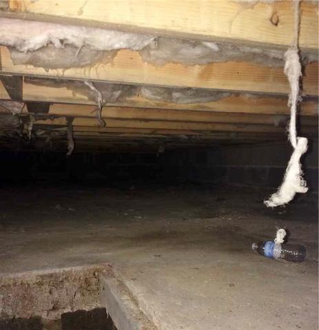 This crawl space was wet, smelly, and just waiting for the vermin to move in. It needed help quick! 