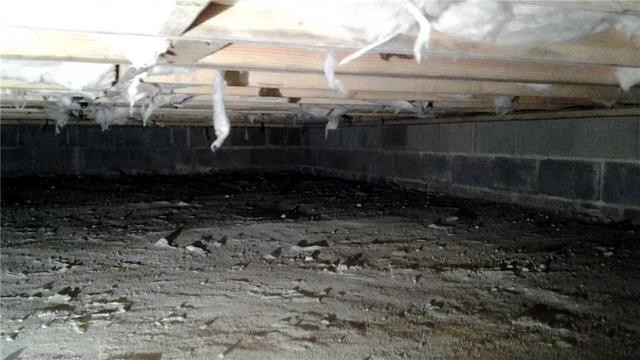 Wet Walls Ruin Beams