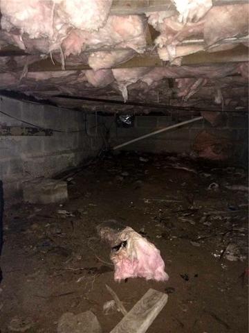 Damp, Dark Crawl Spaces