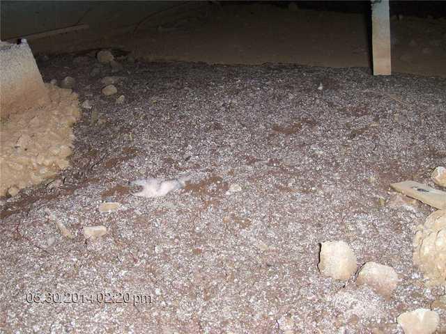 Crawlspace Encapsulation